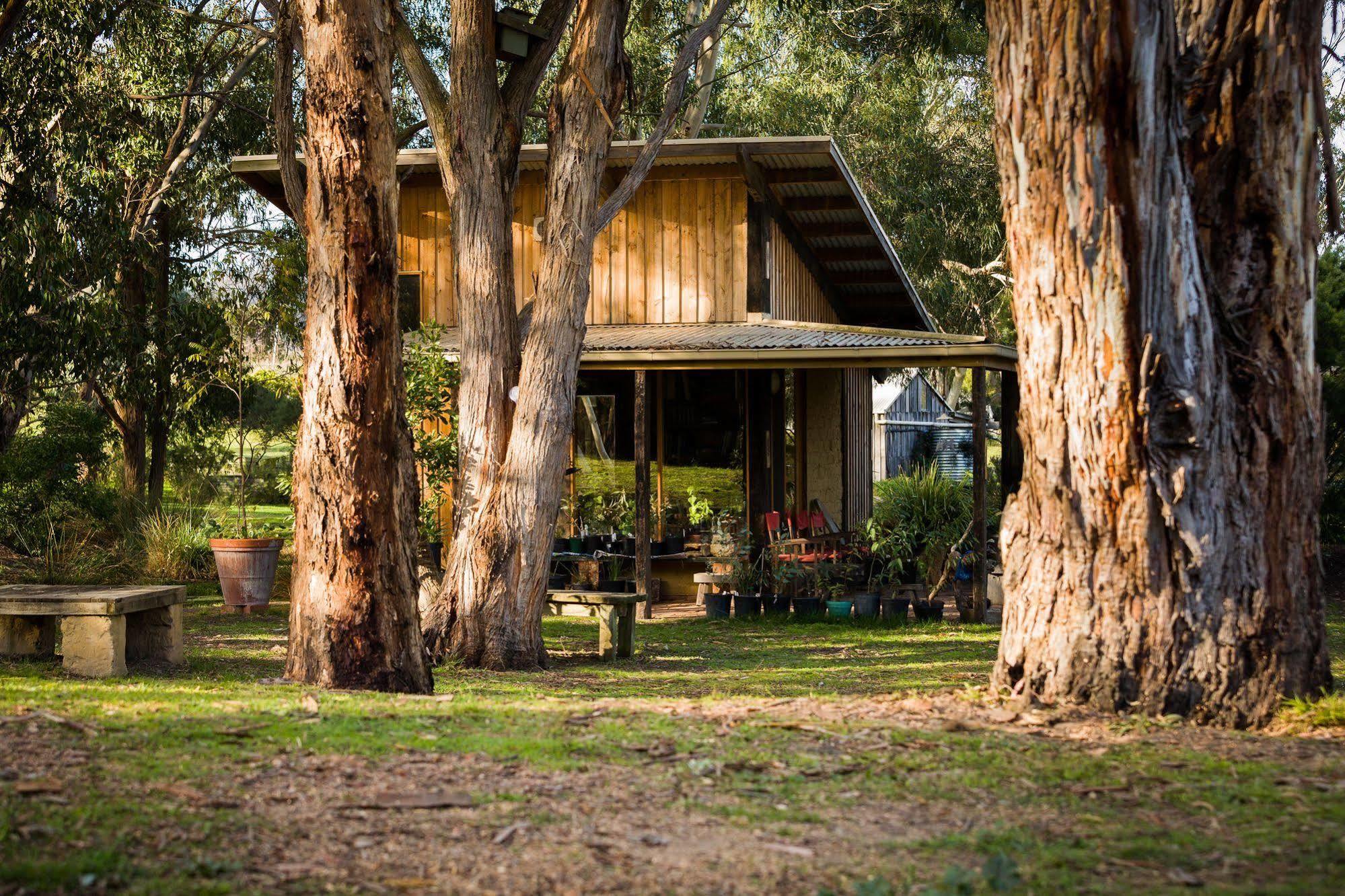 הוילה דיקסונס קריק The Burrow At Wombat Bend מראה חיצוני תמונה