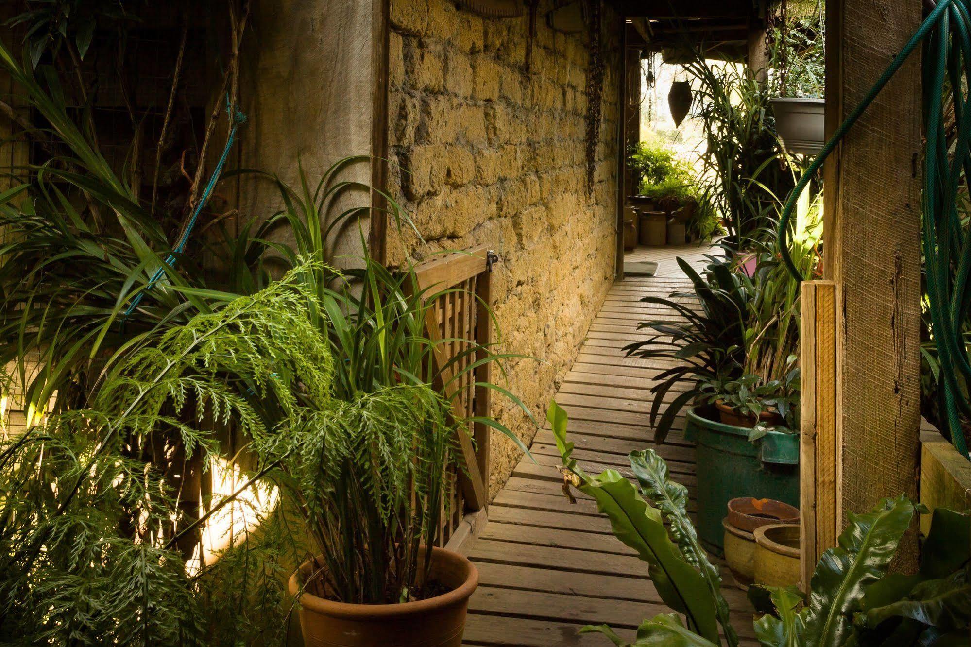 הוילה דיקסונס קריק The Burrow At Wombat Bend מראה חיצוני תמונה